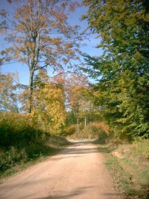 Landhotel Harz Thale Luaran gambar