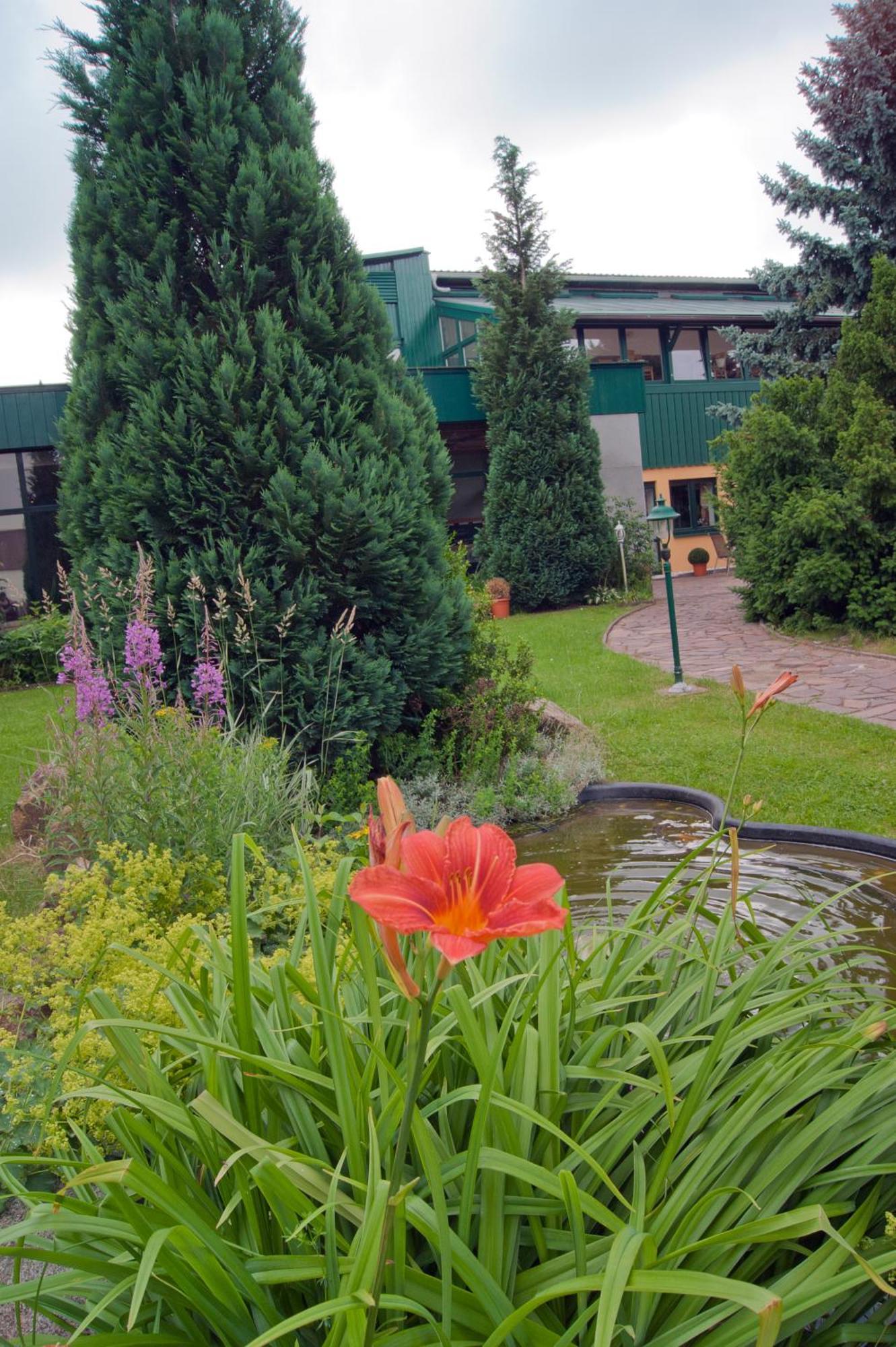 Landhotel Harz Thale Luaran gambar